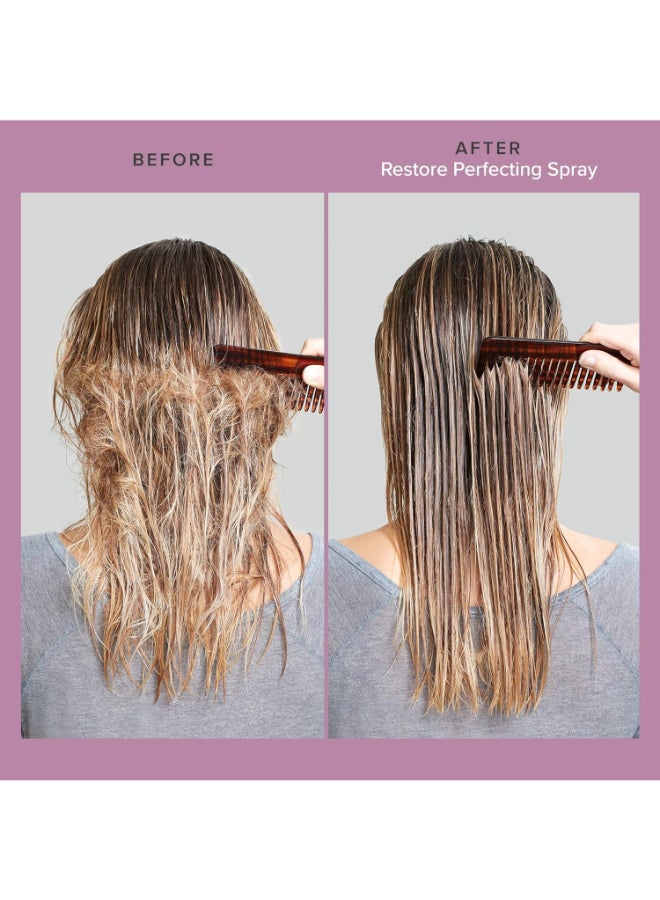 Restoring & Detangling Perfecting Spray - Repairs Damaged Hair, Provides Heat Protection & Makes Hair More Manageable (236 ml) - image 3