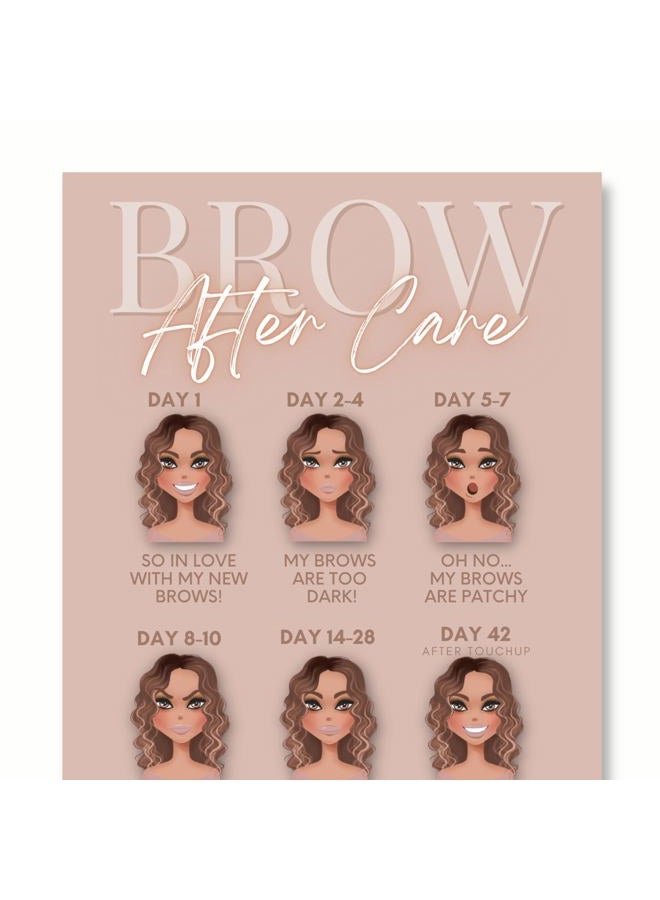 PMU Eyebrow Powder Brow Microblading Aftercare Instruction Cards - 4x6 Inches - Front and Back Stages of brow healing