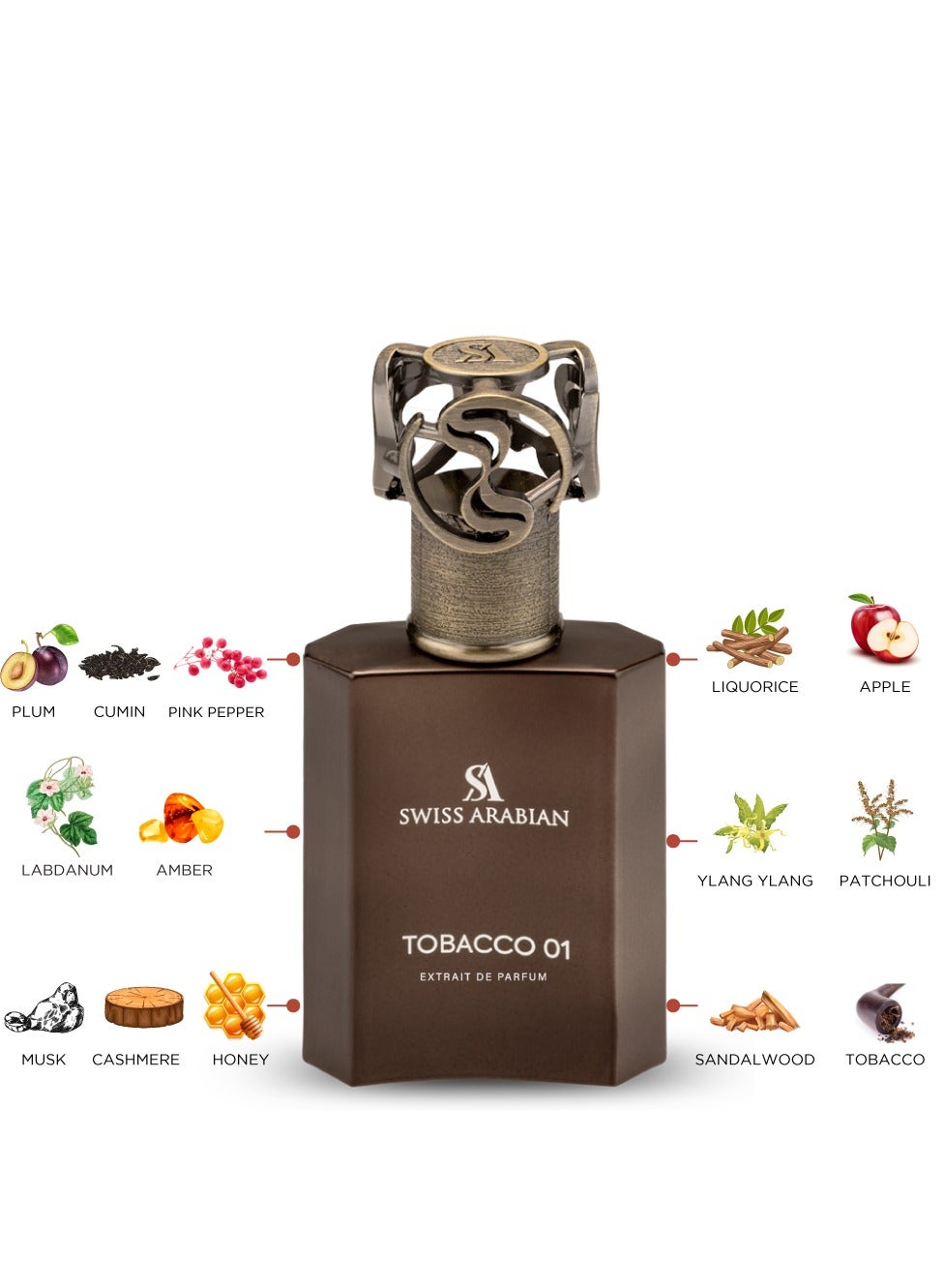 Tobacco 01 Unisex Extrait De Parfum 50ml - image 3