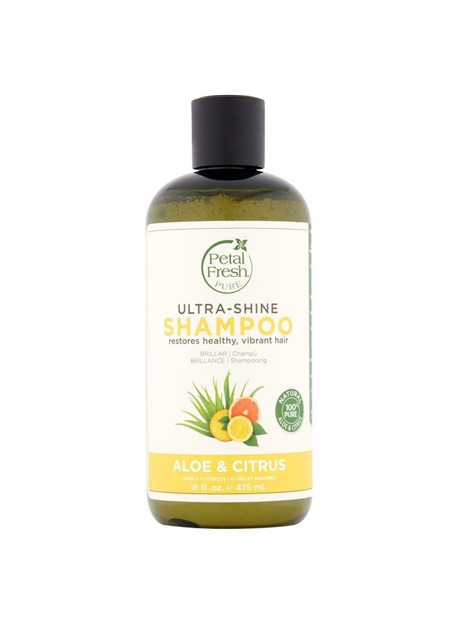 Bio Creative Lab Petal Fresh Shampoo, Aloe and Citrus, 16 Ounce