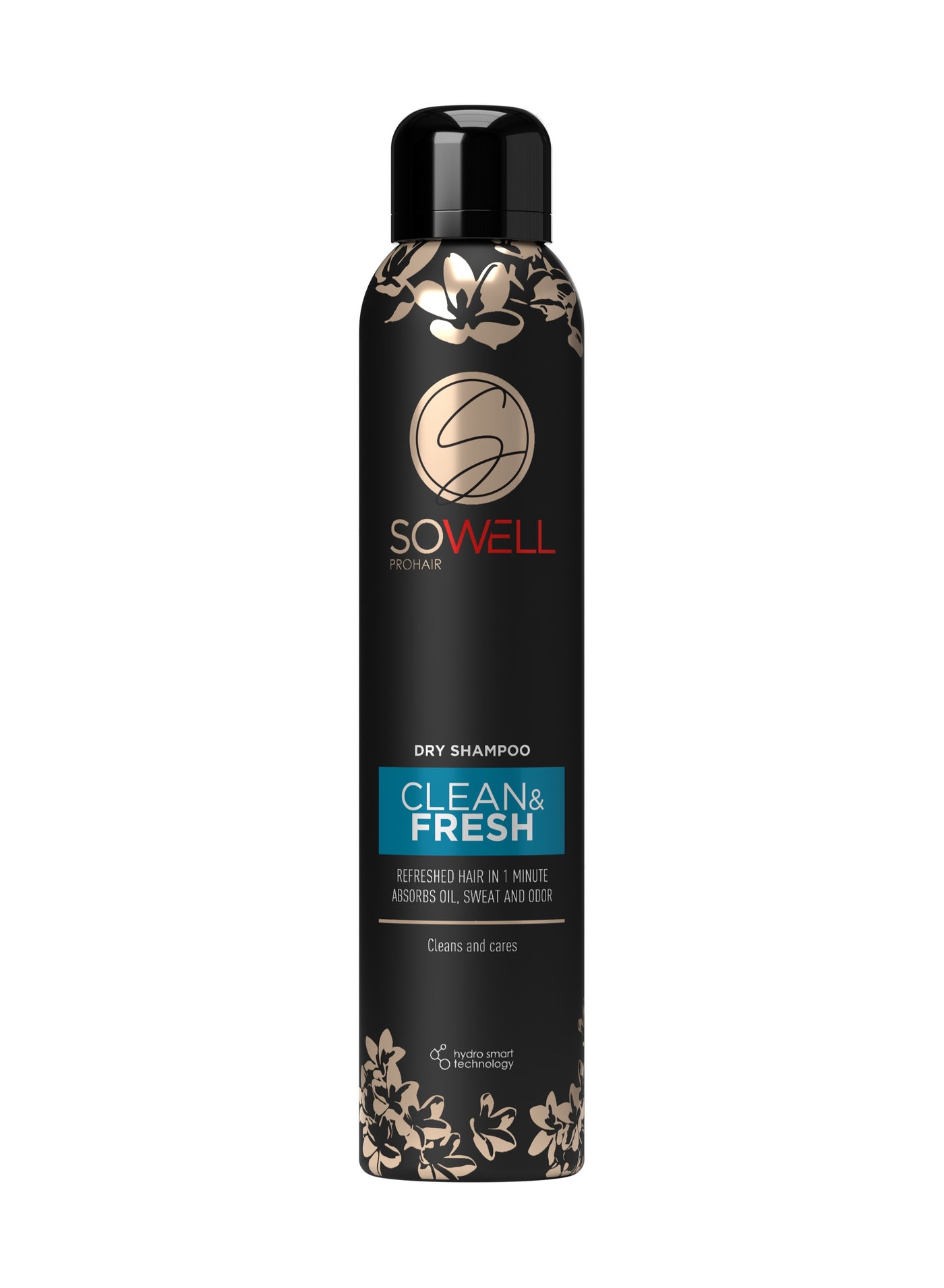 Dry Hair Shampoo Clean And Fresh 200 ml