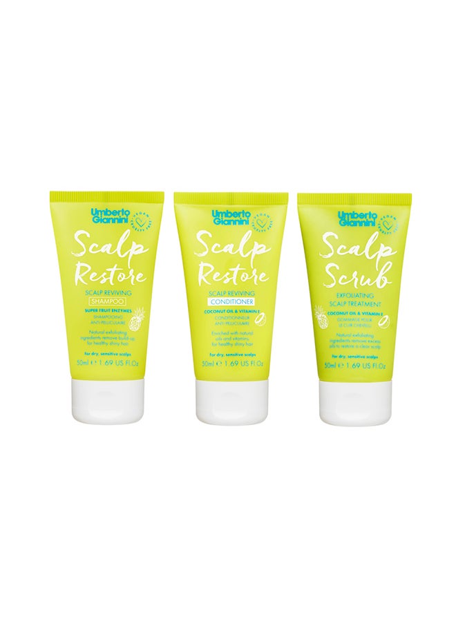 Scalp Starter Kit