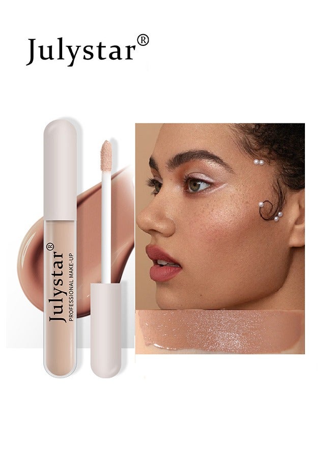 Professional Make Up  Liquid Concealer,Matte Liquid Skin Concealer (#04)