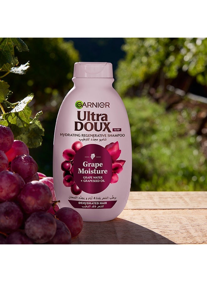 Garnier Ultra Doux Grape Moisture Shampoo 400ML + 600ML - image 3