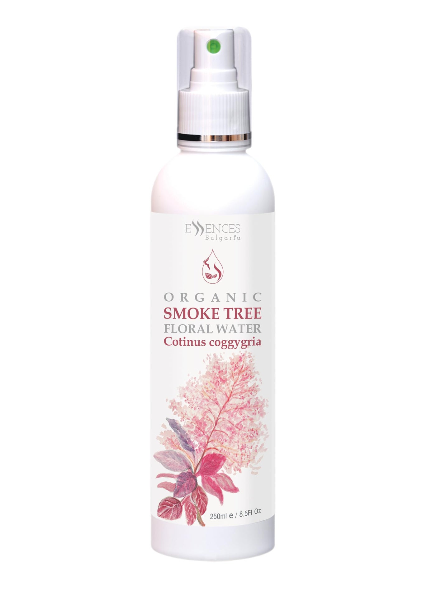 Essences Bulgaria Organic Smoke Tree Floral Water 8.5 Fl Oz | 250ml | 100% Pure and Natural | Spray for Face, Body and Hair | Cleansing and Toning | Alcohol-Free | Excellent Hydrating | Vegan