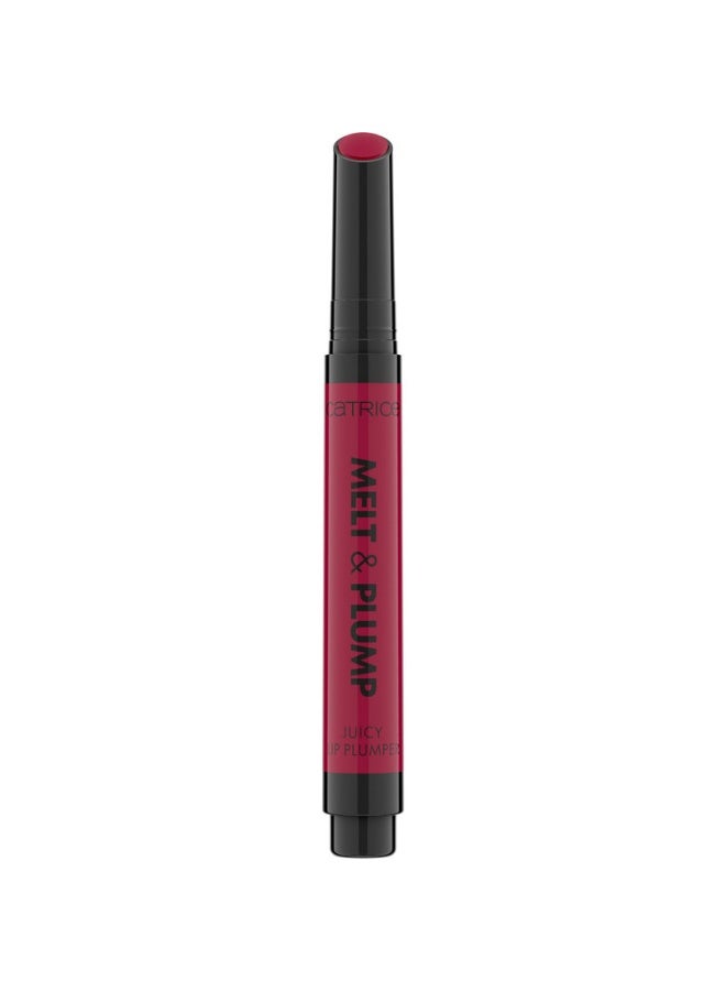 Melt And Plump Juicy Lip Plumper 040
