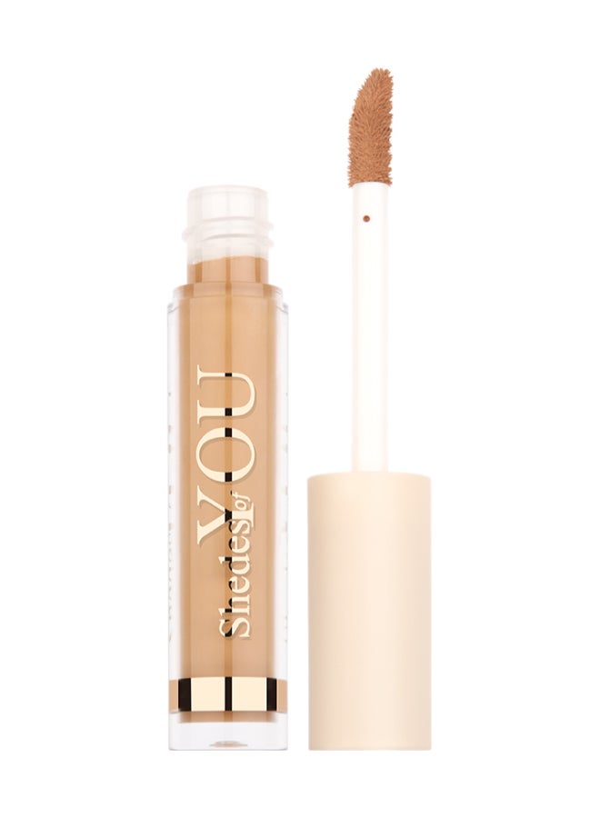 Shedes Of You Concealer