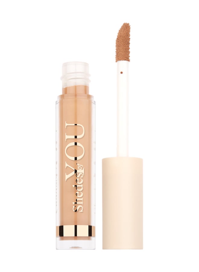 Shedes Of You Concealer