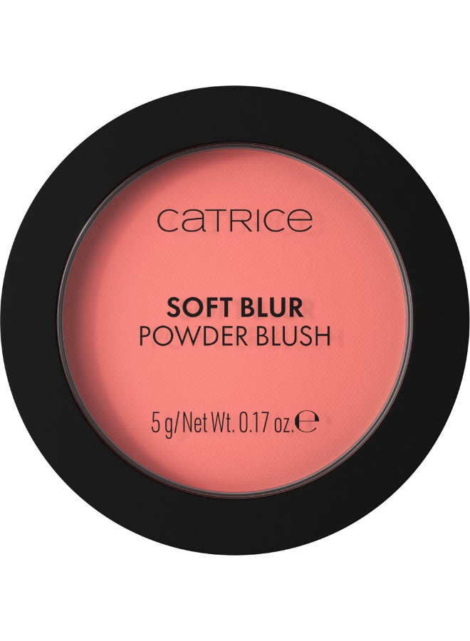 Catrice Soft Blur Powder Blush 040