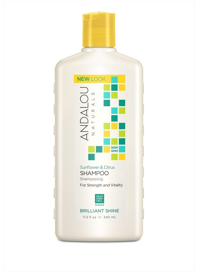 Sunflower and Citrus Brilliant Shine Shampoo, 11.5 Ounce