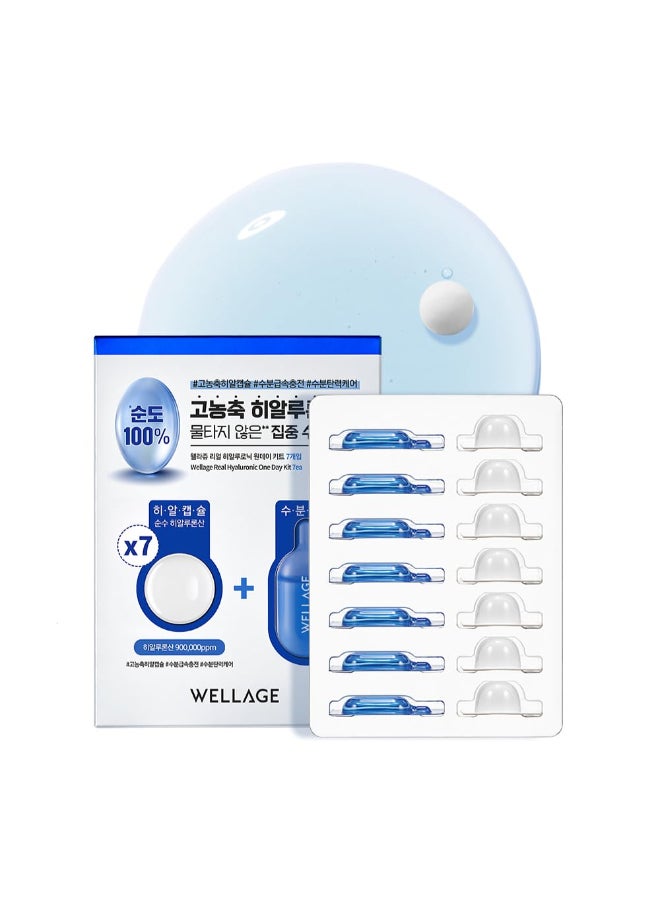 Wellage Real Hyaluronic One Day Kit 7ea