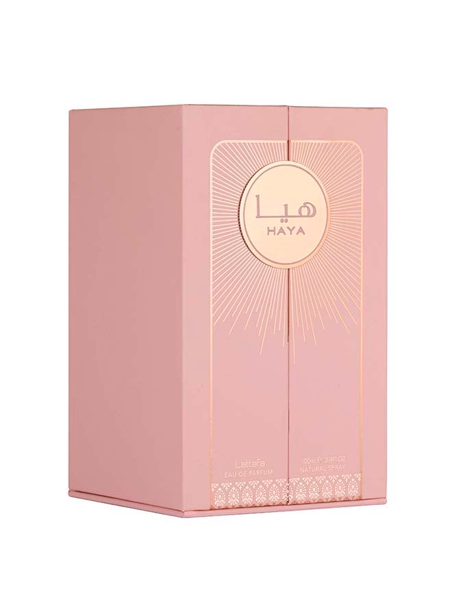 Spray Haya 100ml # - image 2