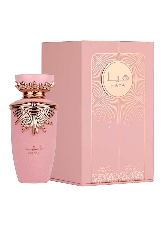Spray Haya 100ml #