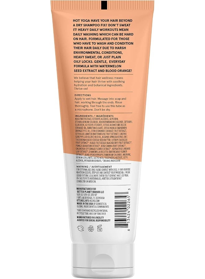 Daily Workout Watermelon Conditioner - image 2