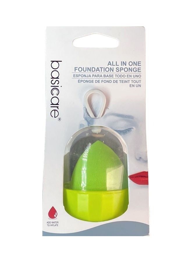 All In One Foundation Sponge, Assorted